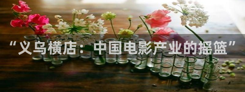 極速影院官網：“義烏橫店：中國電影產業的搖籃”